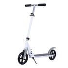 Teen 8 Years Old 100KGS Outdoor Alloy Kick Scooter Sport