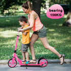 Adult Aluminum Two Wheel Kick Scooter With Beautiful Sand Stickers